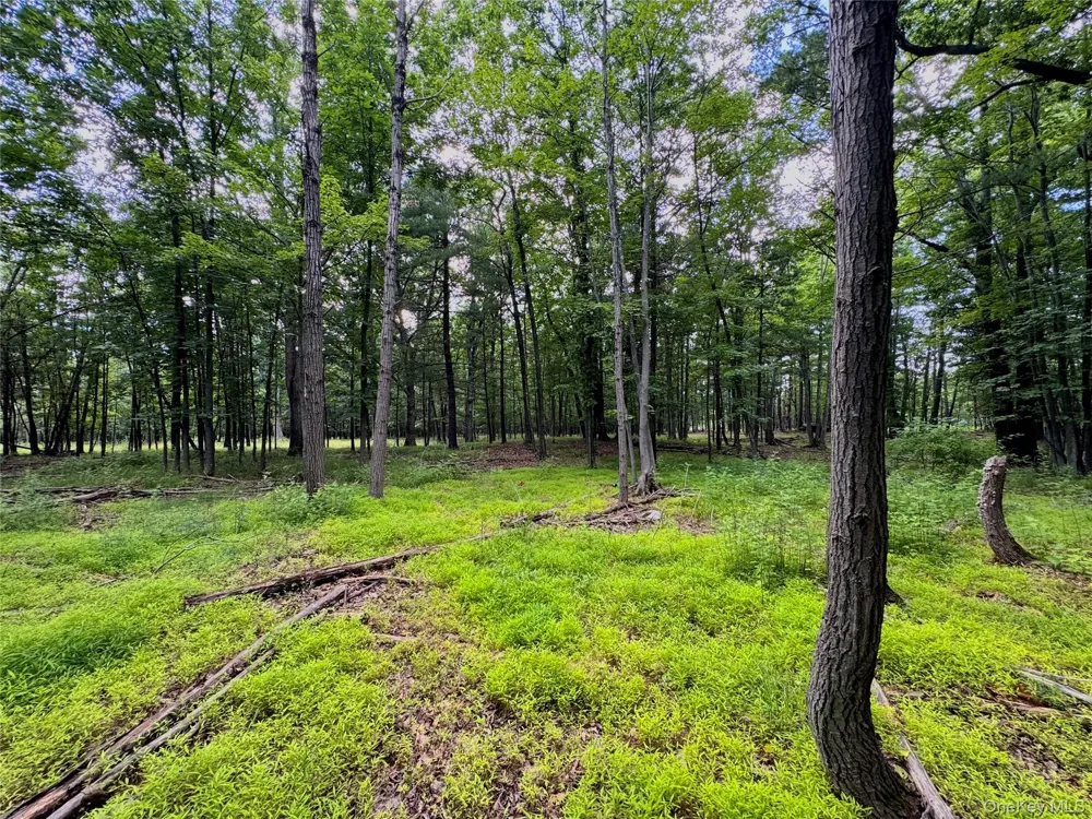 334 Pollys Rock Road Cairo, NY 12473