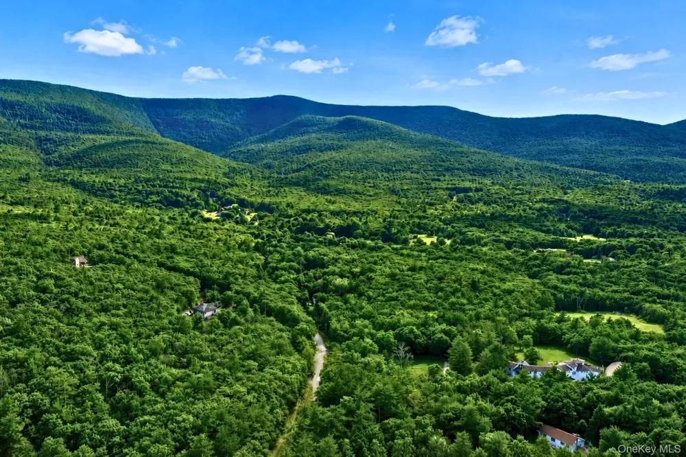 334 Pollys Rock Road Cairo, NY 12473