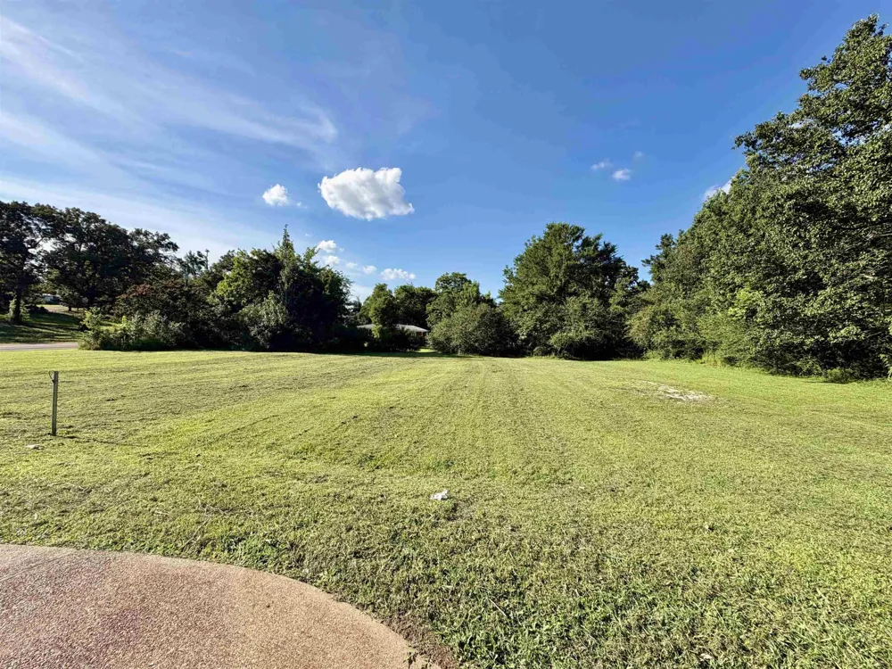 292 MICHIE PEBBLE HILL RD Stantonville, TN 38379