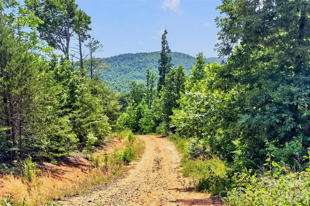 272 Randolph Drive #1 Marion, NC 28752