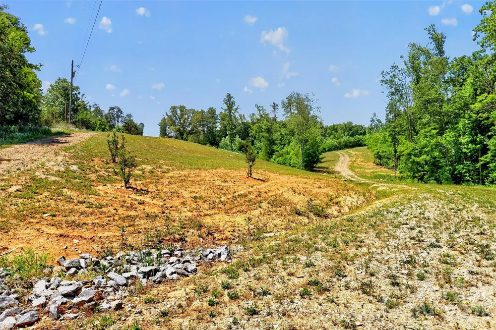 272 Randolph Drive #1 Marion, NC 28752