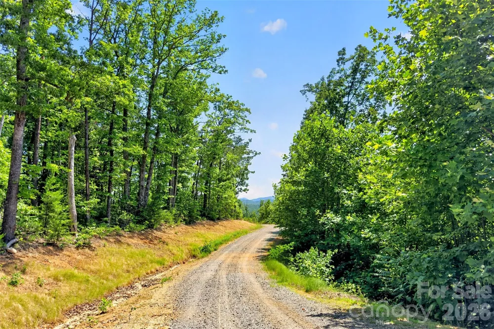272 Randolph Drive #1 Marion, NC 28752