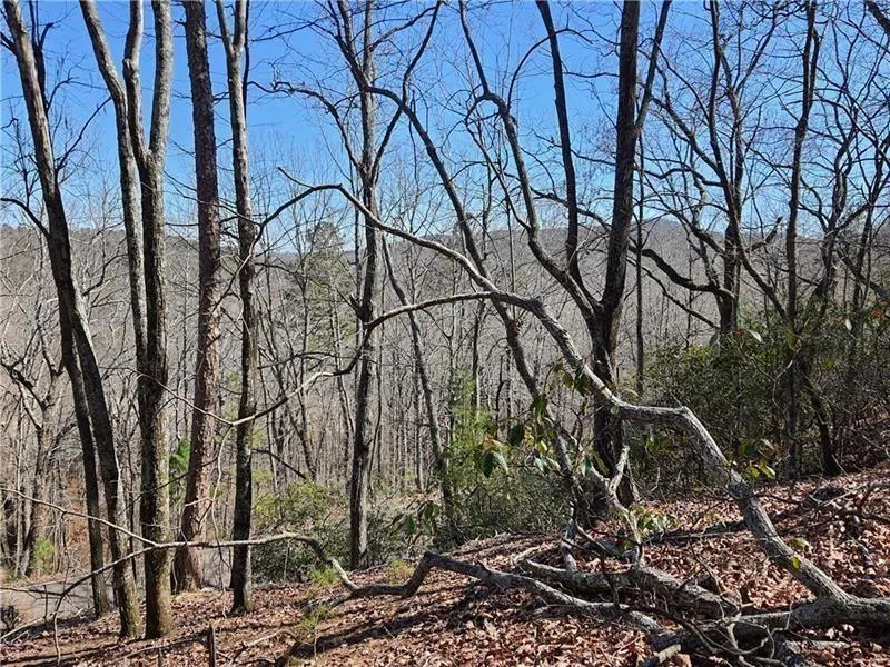 2538 Turnbury Lane Jasper, GA 30143
