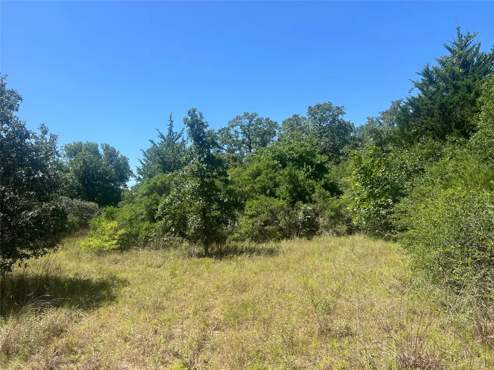 4500 PR Normangee, TX 77871