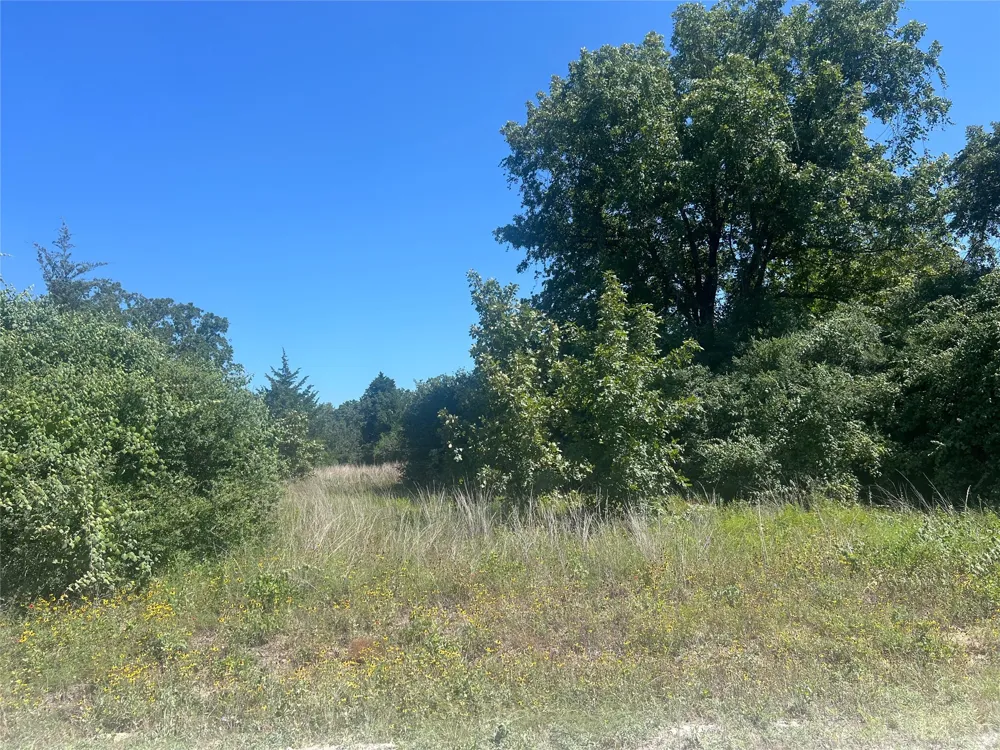 4500 PR Normangee, TX 77871