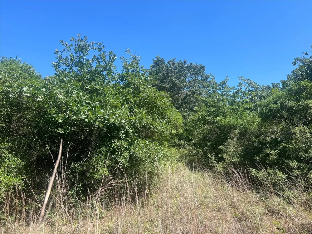 4500 PR Normangee, TX 77871
