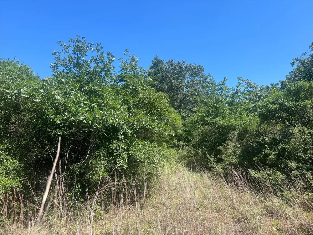 4500 PR Normangee, TX 77871