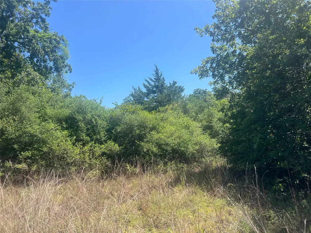 4500 PR Normangee, TX 77871