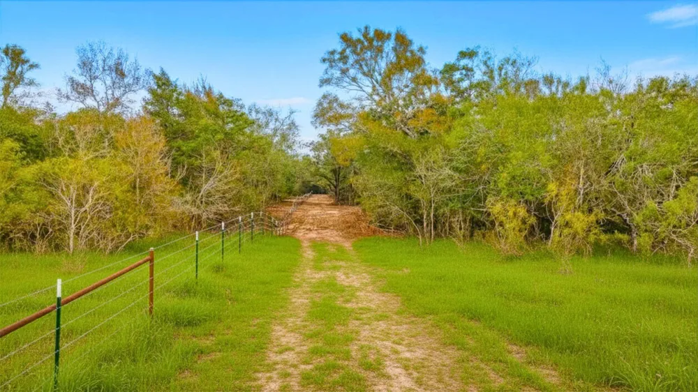 Armstrong Derry Rd Flatonia, TX 78941