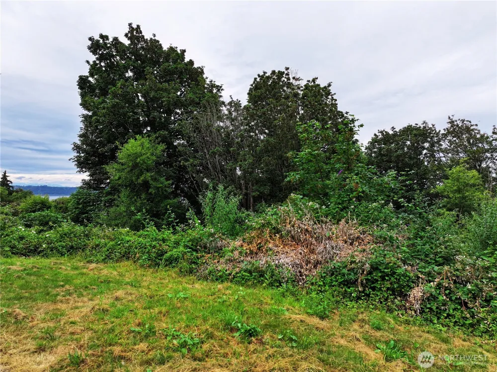 0 SW 296th St Federal Way, WA 98023
