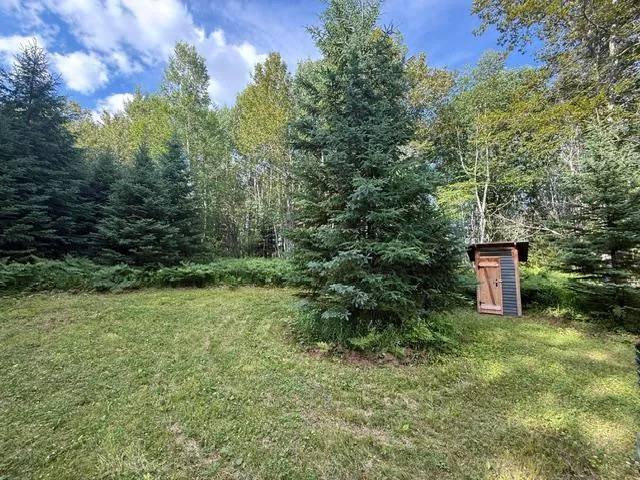 TBD Moose Lake Road Pennington, MN 56663