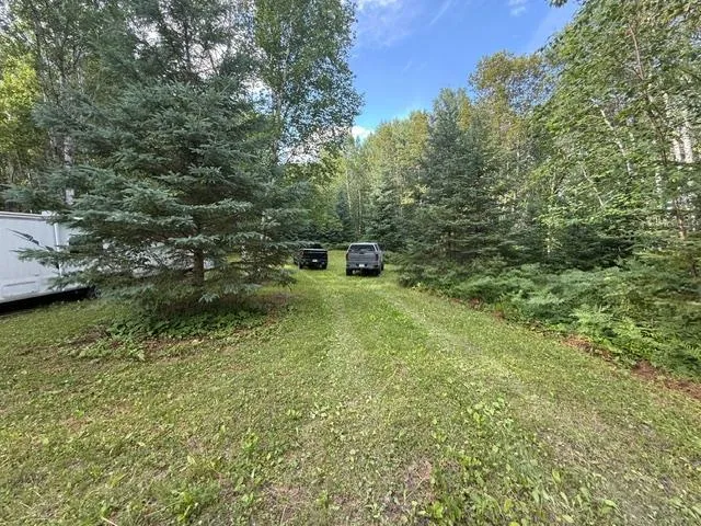 TBD Moose Lake Road Pennington, MN 56663