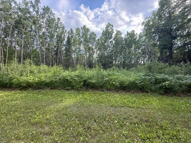 TBD Moose Lake Road Pennington, MN 56663