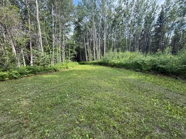 TBD Moose Lake Road Pennington, MN 56663