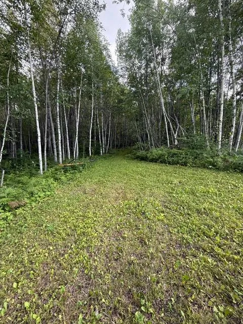 TBD Moose Lake Road Pennington, MN 56663