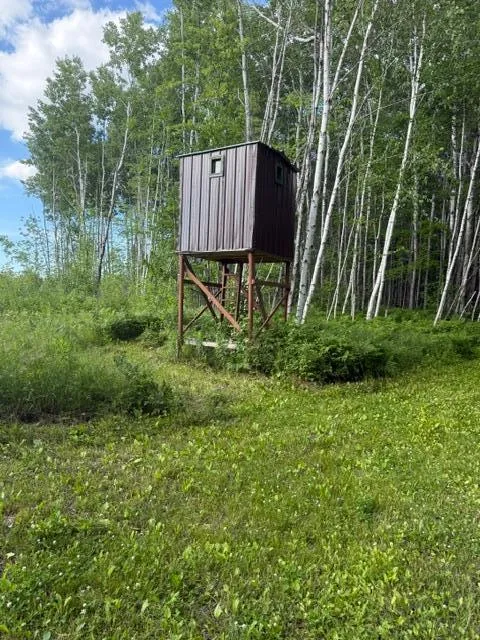 TBD Moose Lake Road Pennington, MN 56663