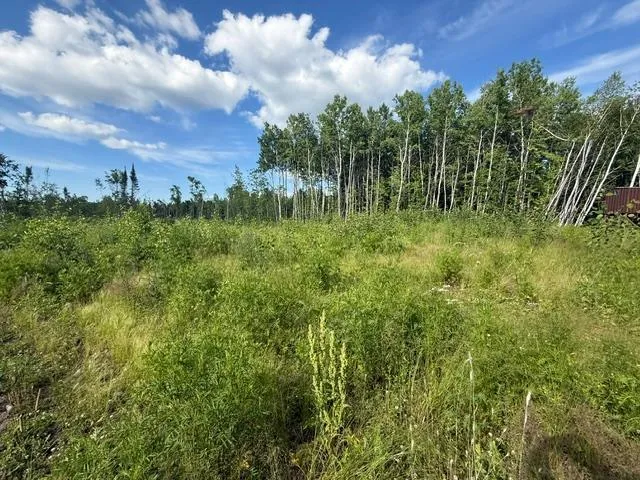 TBD Moose Lake Road Pennington, MN 56663