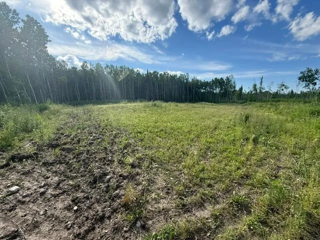 TBD Moose Lake Road Pennington, MN 56663