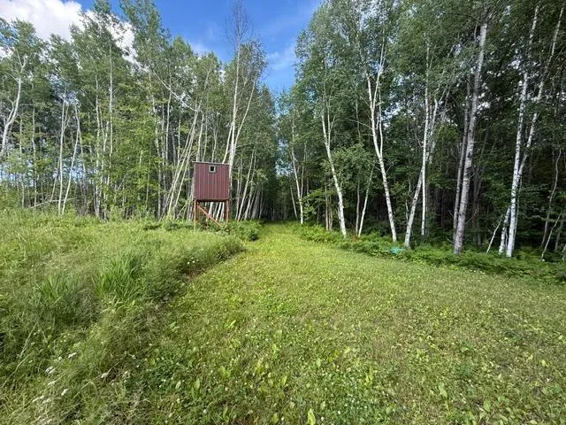 TBD Moose Lake Road Pennington, MN 56663