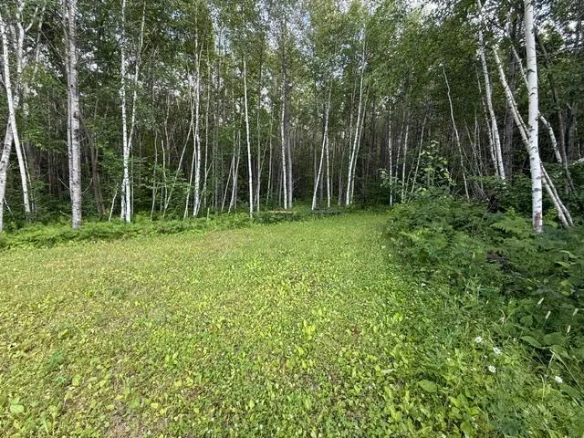 TBD Moose Lake Road Pennington, MN 56663
