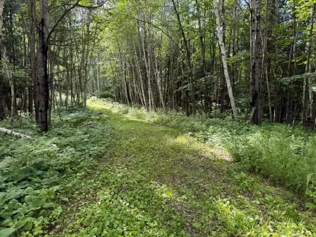 TBD Moose Lake Road Pennington, MN 56663