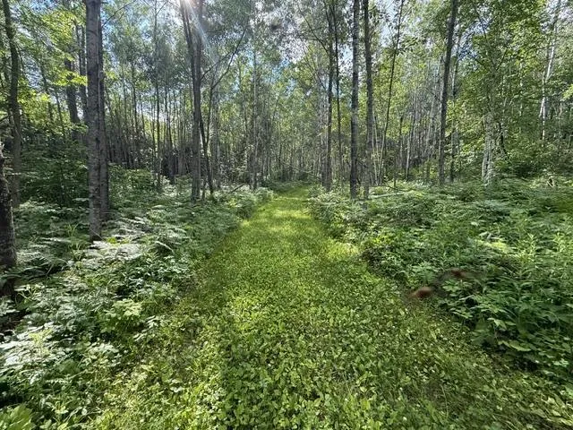 TBD Moose Lake Road Pennington, MN 56663