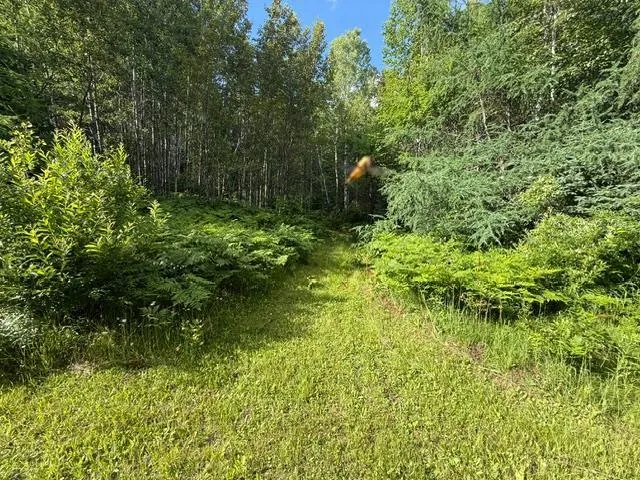 TBD Moose Lake Road Pennington, MN 56663