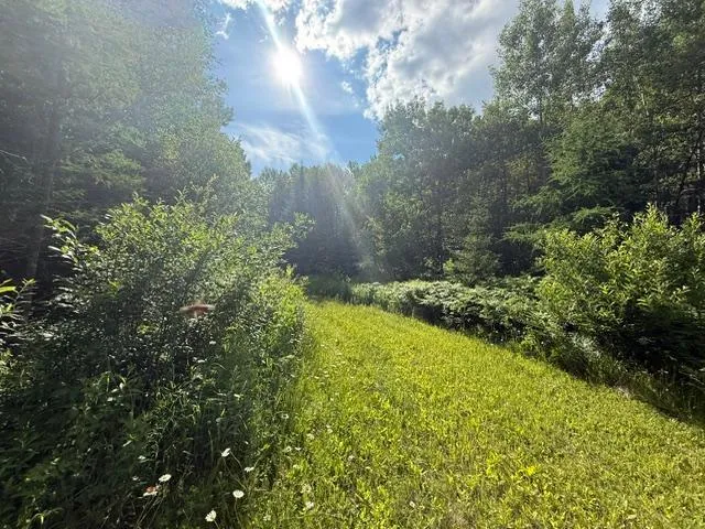 TBD Moose Lake Road Pennington, MN 56663