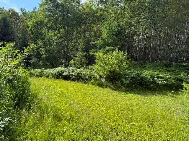 TBD Moose Lake Road Pennington, MN 56663