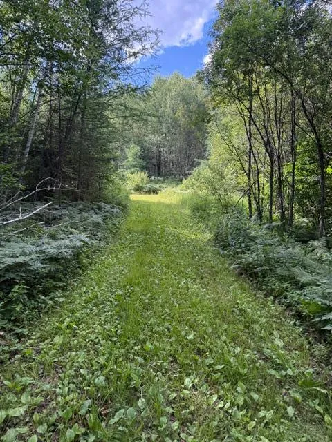 TBD Moose Lake Road Pennington, MN 56663