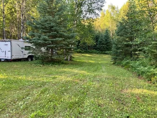 TBD Moose Lake Road Pennington, MN 56663