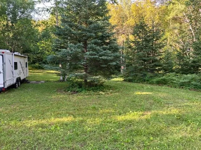 TBD Moose Lake Road Pennington, MN 56663