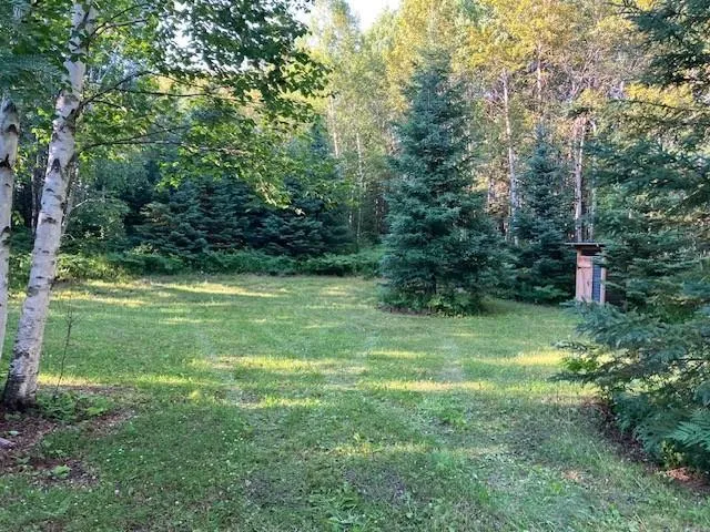 TBD Moose Lake Road Pennington, MN 56663
