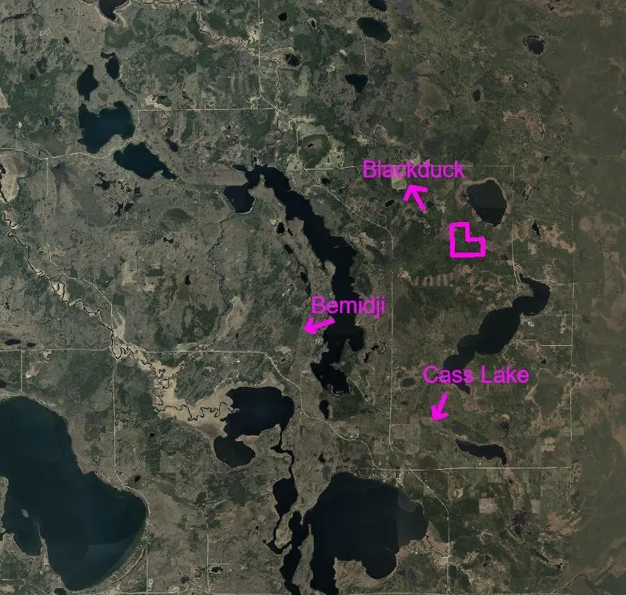 TBD Moose Lake Road Pennington, MN 56663