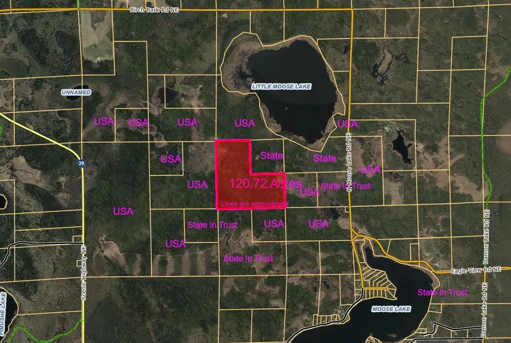 TBD Moose Lake Road Pennington, MN 56663