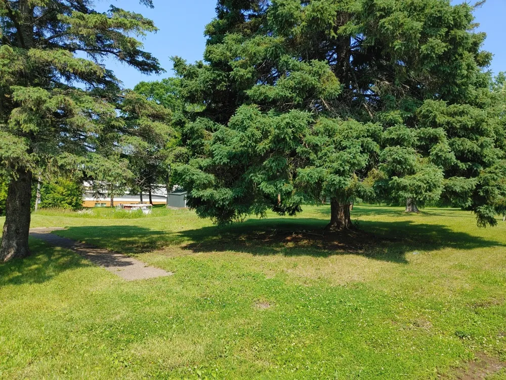 3693 Carlton Street Barnum, MN 55707
