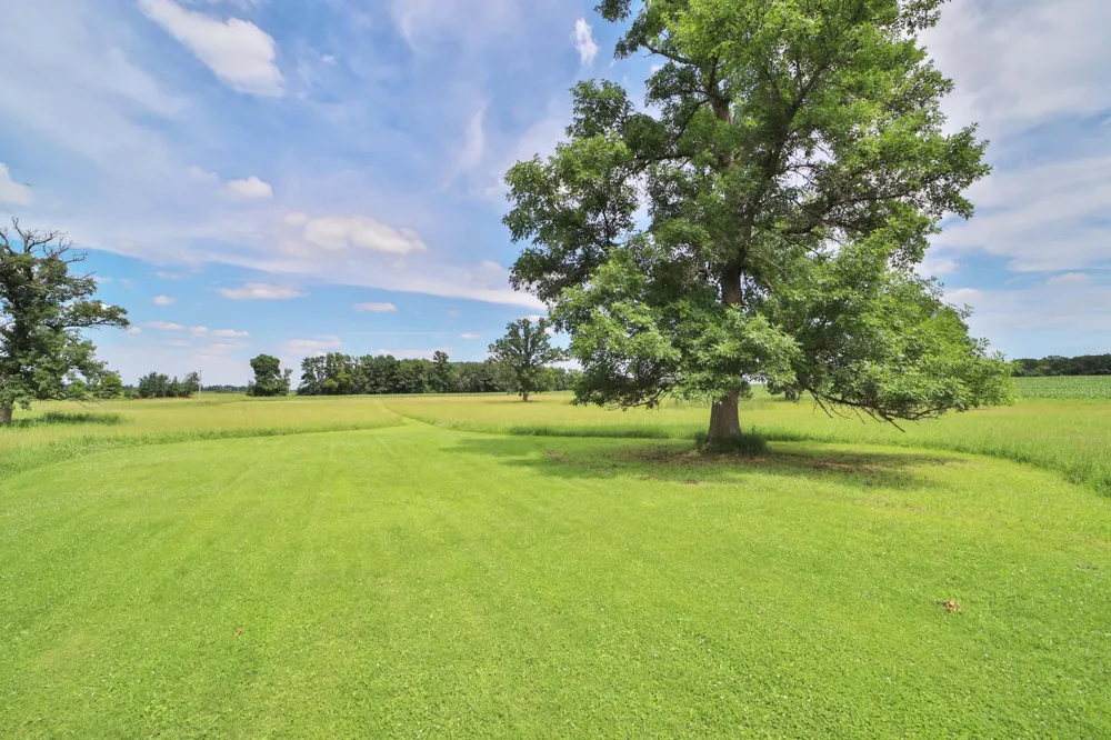 34564 141st Avenue Eagle Bend, MN 56446