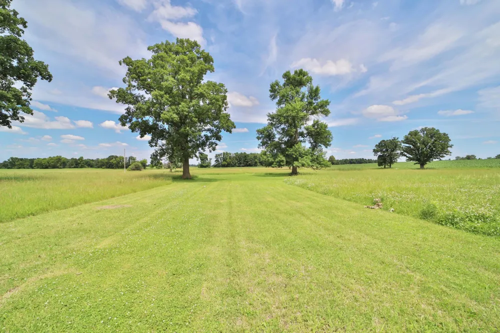 34564 141st Avenue Eagle Bend, MN 56446