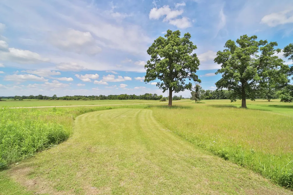 34564 141st Avenue Eagle Bend, MN 56446