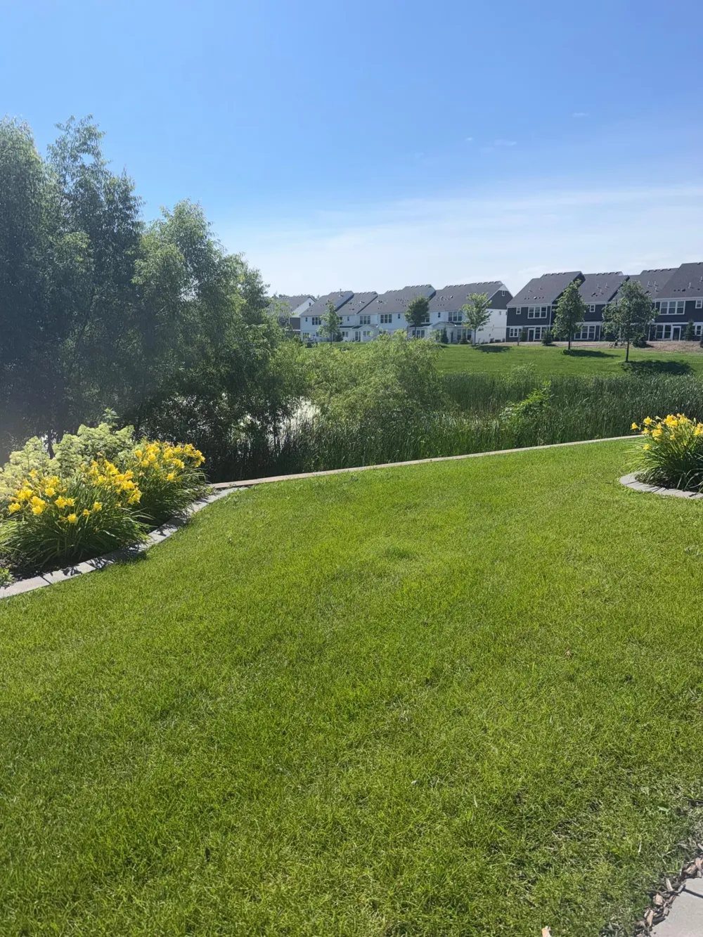 12914 Brenly Way Rogers, MN 55374