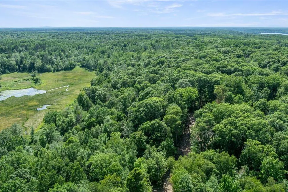 TBD Lot C Hidden Pond Lane Pequot Lakes, MN 56472
