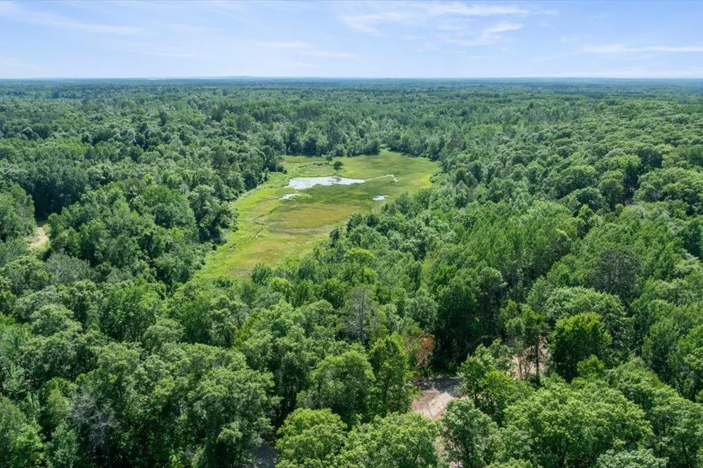 TBD Lot C Hidden Pond Lane Pequot Lakes, MN 56472