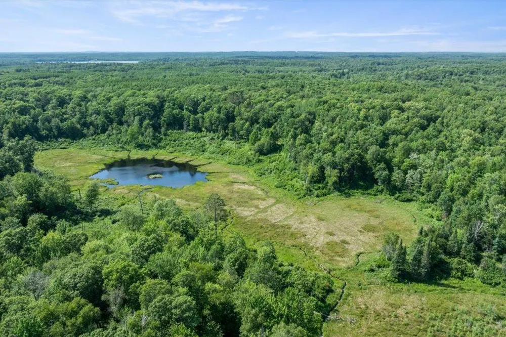 TBD Lot C Hidden Pond Lane Pequot Lakes, MN 56472