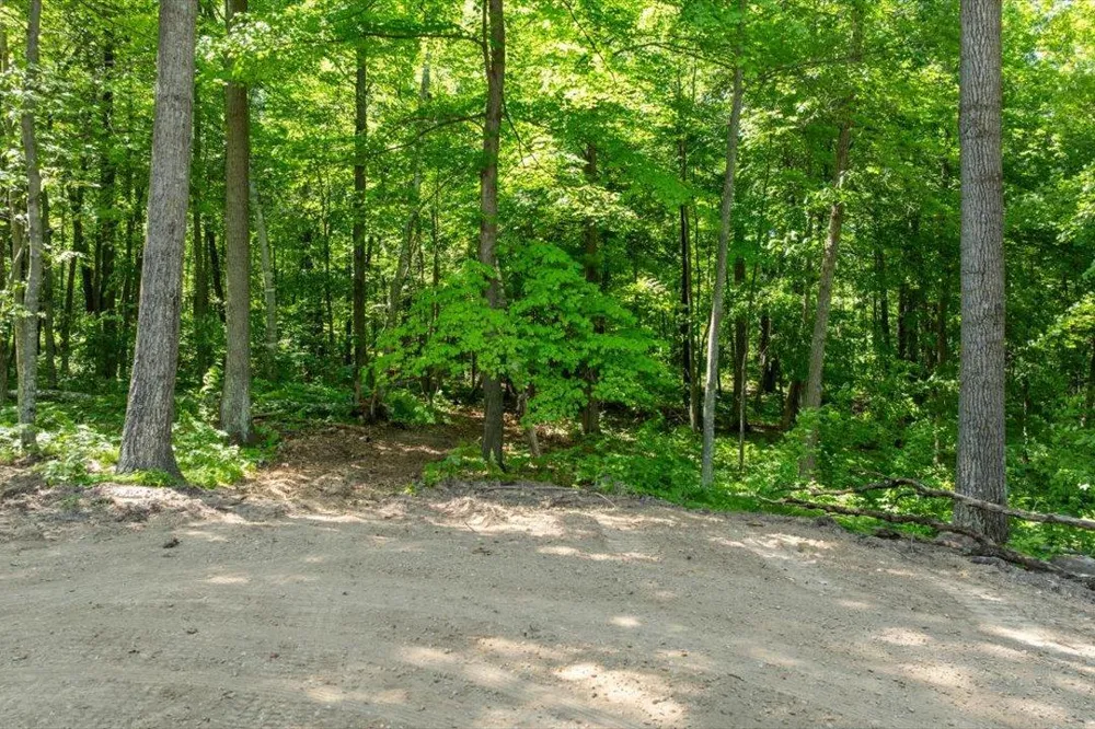 TBD Lot C Hidden Pond Lane Pequot Lakes, MN 56472