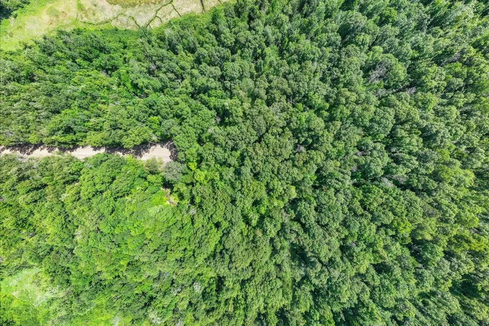 TBD Lot B Hidden Pond Lane Pequot Lakes, MN 56472