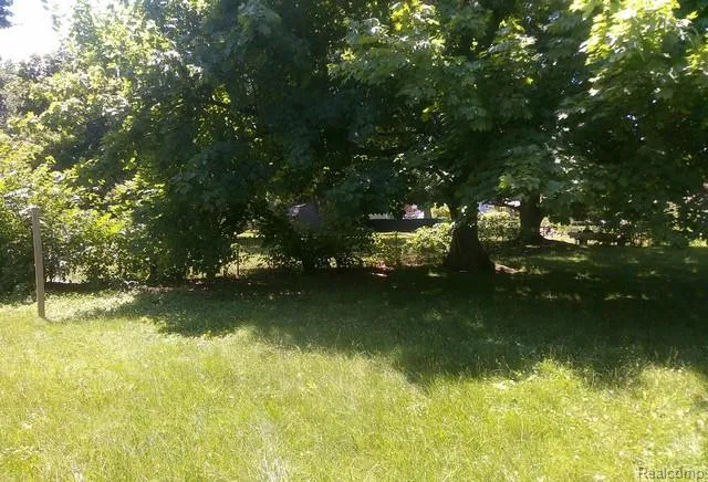 433 Crestview Street Flushing City, MI 48433