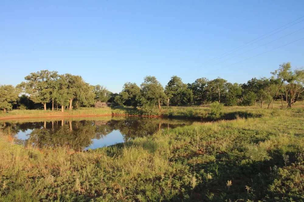449 CR 194 Ovalo, TX 79541