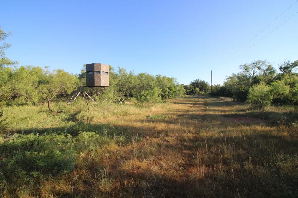 449 CR 194 Ovalo, TX 79541