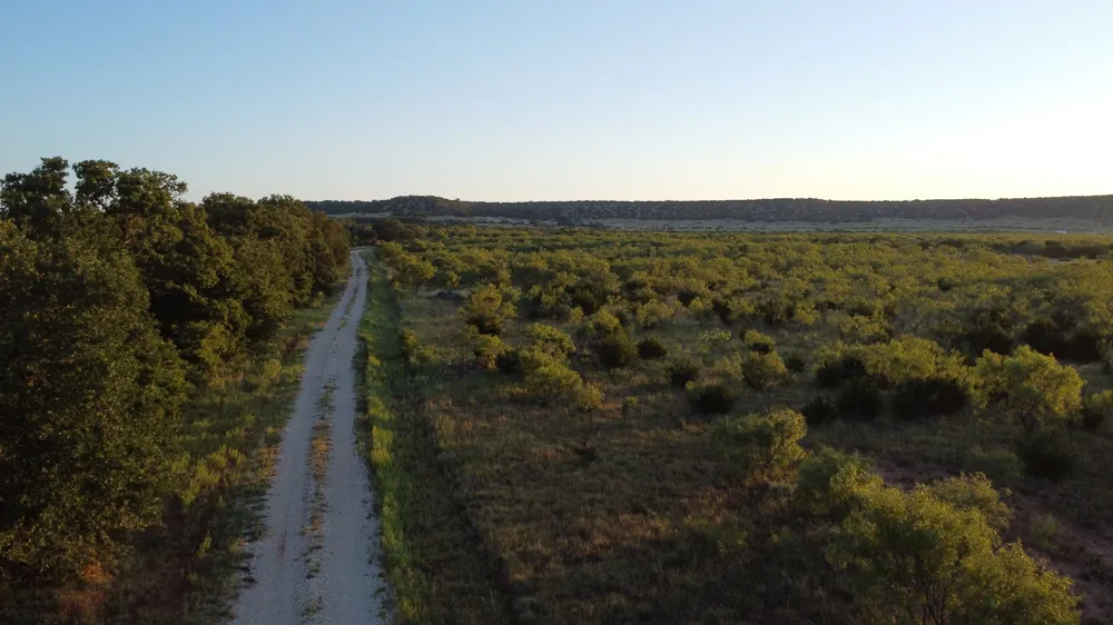 449 CR 194 Ovalo, TX 79541