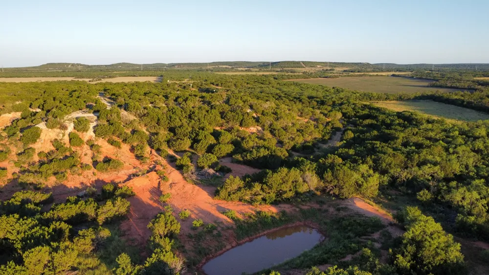 449 CR 194 Ovalo, TX 79541